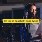 On top of spaghetti song lyrics