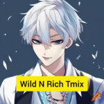 Wild N Rich Tmix Lyrics Lil Tjay